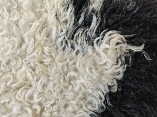 Doğal işlenmemiş hiç kırpılmamış Doğal Koyun Postu , Halı, Seccade 140x80 cm resmi